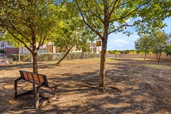 A park bench sits under a tree on a sunny day.